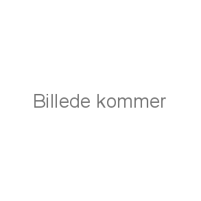 Avenue Gamle Modeller