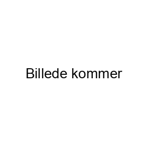 3 Hjulet